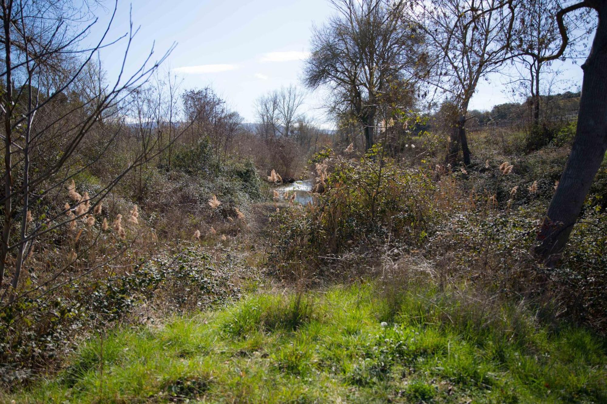 Ladern-sur-Lauquet Gite With Private Jacuzzi, Shiatsu & Healthy Food מראה חיצוני תמונה